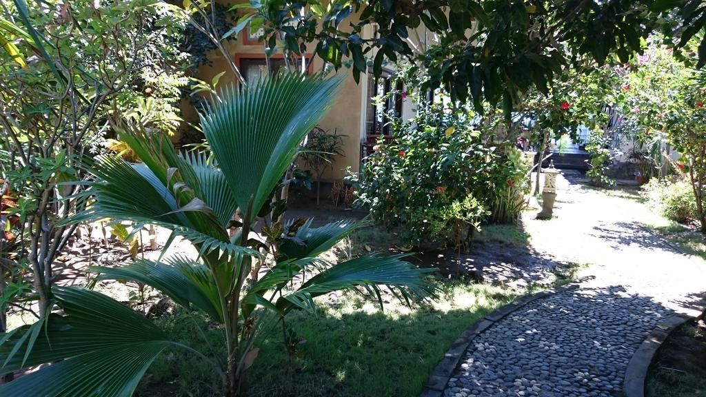 Barracuda Beach Hostel Амед Экстерьер фото